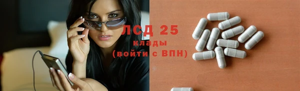дурь Богородицк