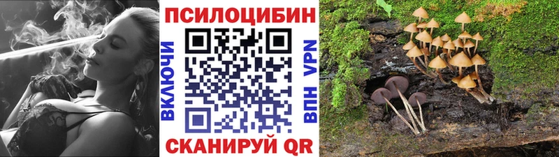 Псилоцибиновые грибы мухоморы  Купить  Билибино 